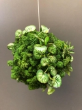 kleine Mooskugel grün, mit Kunstblättern